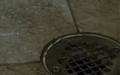 Why Does My Shower Drain Smell Like Sewage? Tips from Plumbing Experts